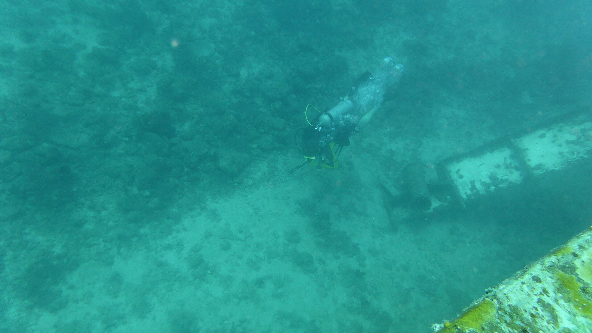 Underwater camera mounted on a fishing rig — the hardware category where CanFish CamX, ReelSonar and Aqua-Vu all compete