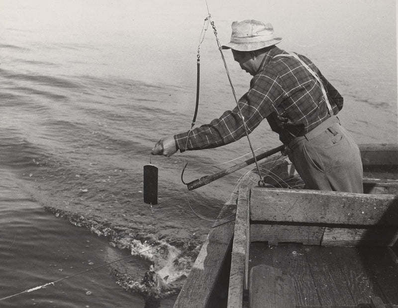 Trolling rig behind a boat on open water — an underwater fishing camera earns its keep at working depth here