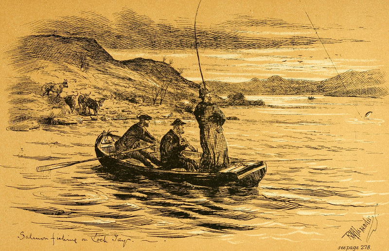 Metallic fish hook — the kind of small fishing-gear detail an underwater camera observes, and the class of hardware where corrosion and seal failure bite