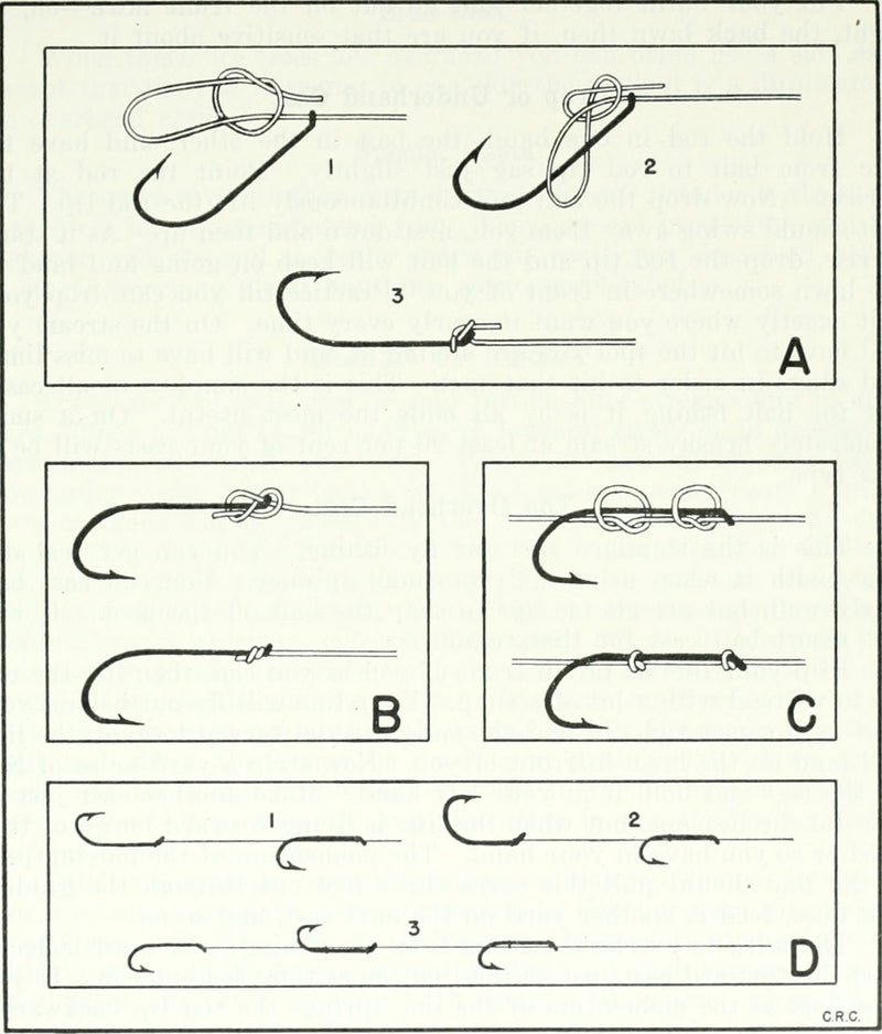 Fishing line and lure rigged — the exact attachment points (lure, float, weight, pole) where an underwater camera mounts