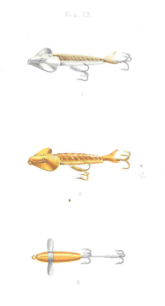 A cork-handled fishing rod — the budget-conscious European angler's setup where an underwater camera under 200 euros earns its keep