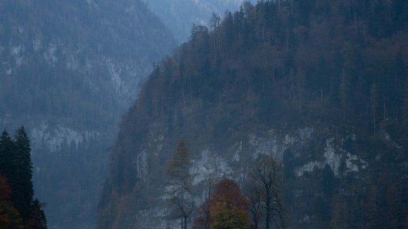 Best underwater fishing cameras shipping to the EU in 2026 — CanFish CamX, Aqua-Vu, GoFish and alternatives compared