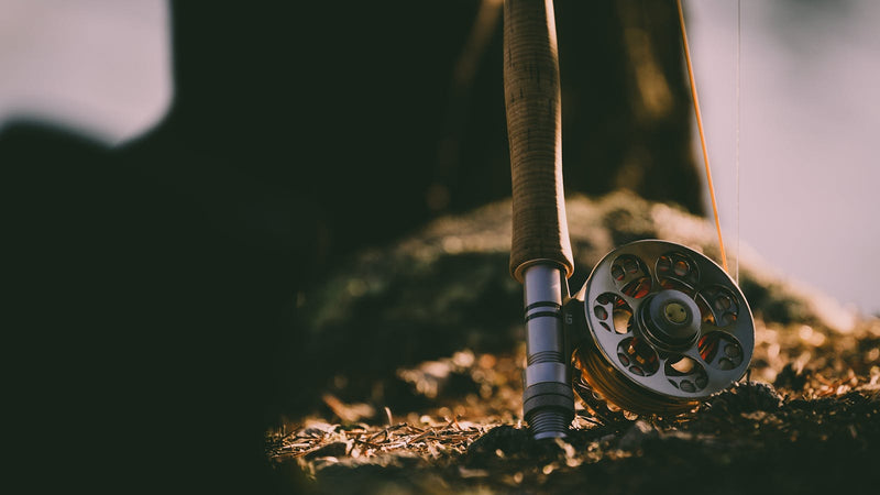 GoFish Cam is discontinued — what replaced this popular underwater fishing camera in 2026 for European anglers