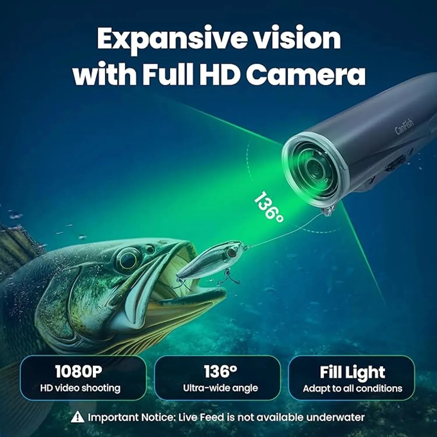 night-vision underwater camera reveals carp cruising in low-light canal