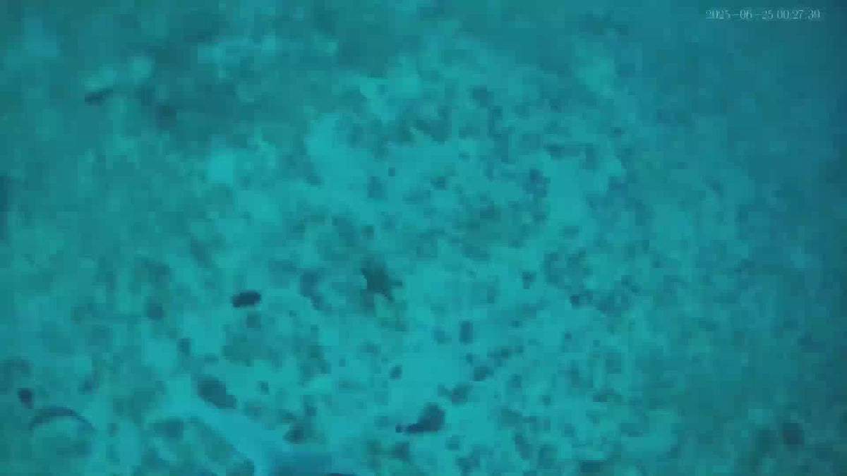 HD clarity + live feed to your phone.