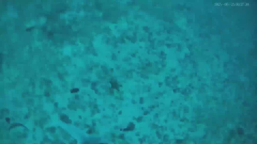 Underwater Fishing in sea